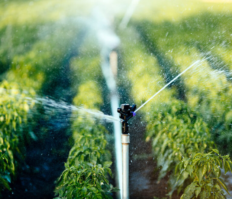Smart Irrigation Systems: The Key to Water Efficiency and Higher Crop Yields