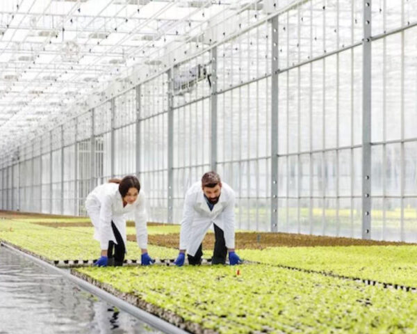 Punasa Lift Irrigation Project